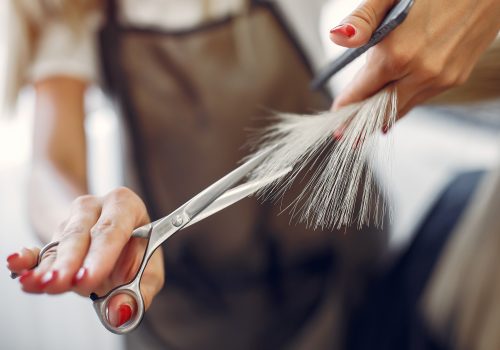 hairdresser-cut-hair-her-client-hair-salon